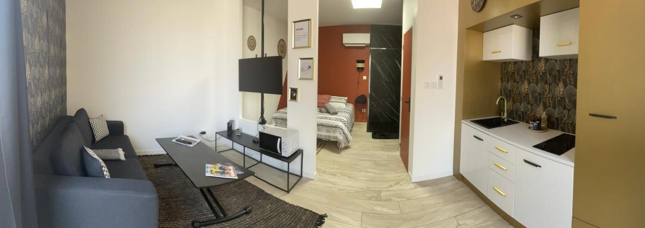Studio Cosy Tt Confort Proche Aeroport Colombier-Saugnieu ภายนอก รูปภาพ